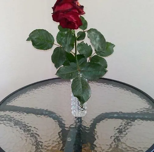 Gracijana Гостьовий будинок